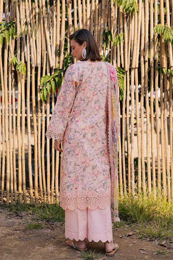SHEZLIN CHIKAN By NAQSH (AV-06)
