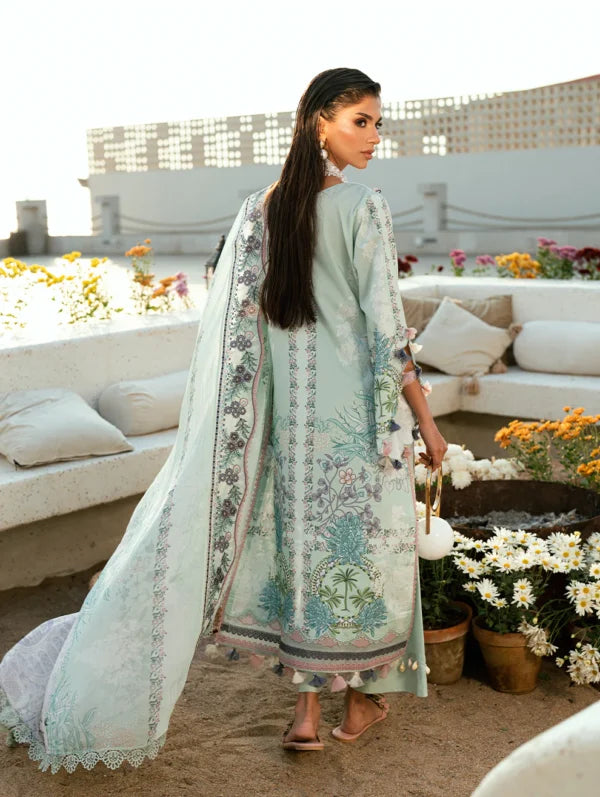 Jade Needle Wonder Lawn 2026 || 26-NW-20944