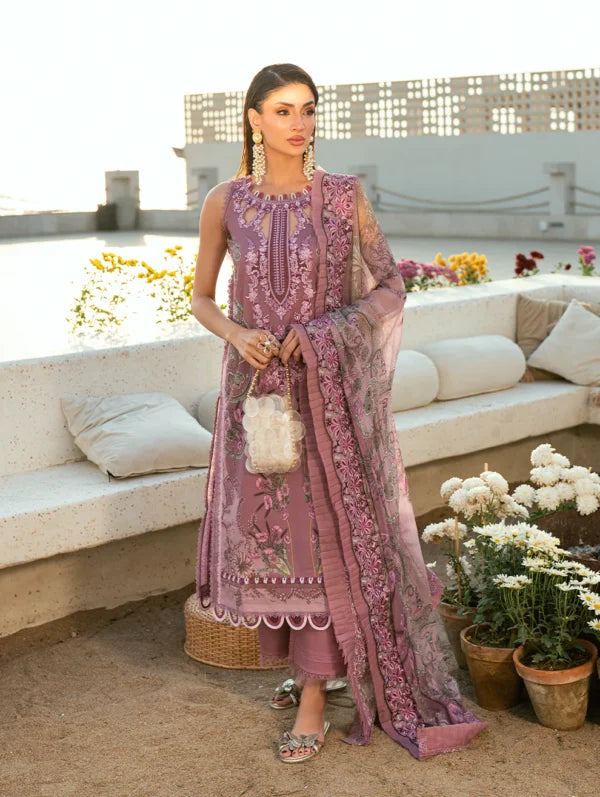 Jade Needle Wonder Lawn 2026 || 26-NW-20941
