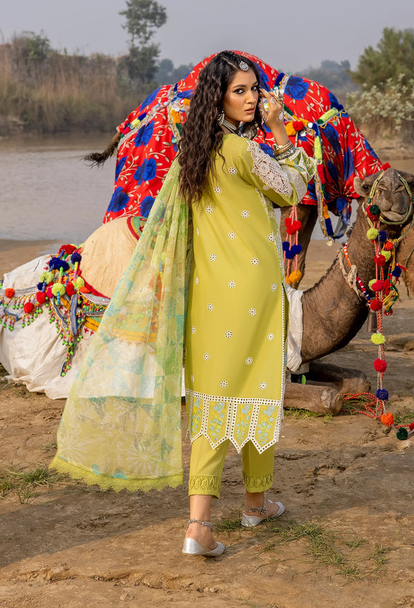 Adan's Libas Lawn by Hafsah Zia 5522