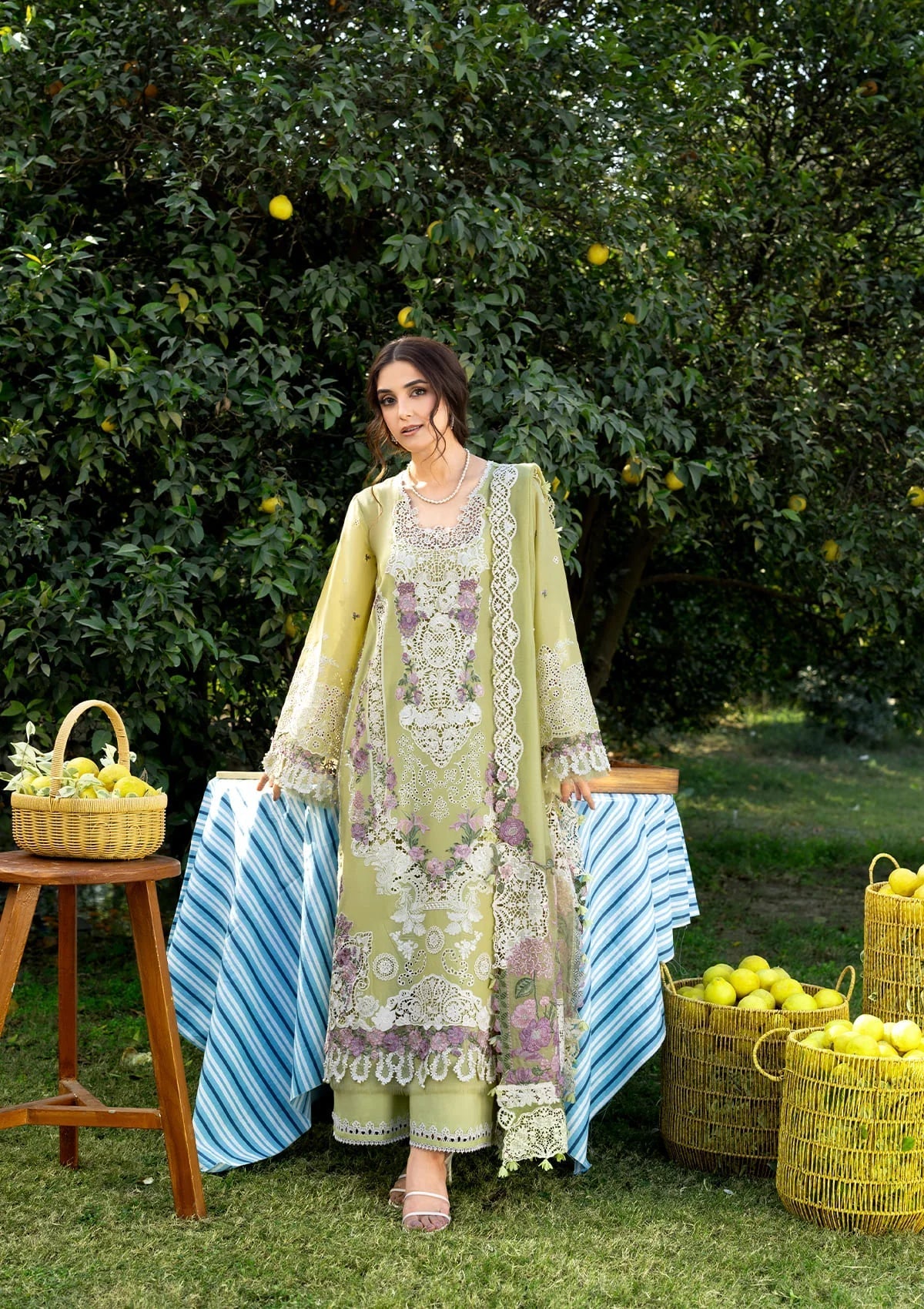 Elaf Luxury Lawn – ELY-08 PISTACHIA