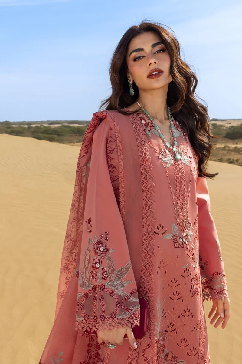 Premium Summer Collection '26 || Amani