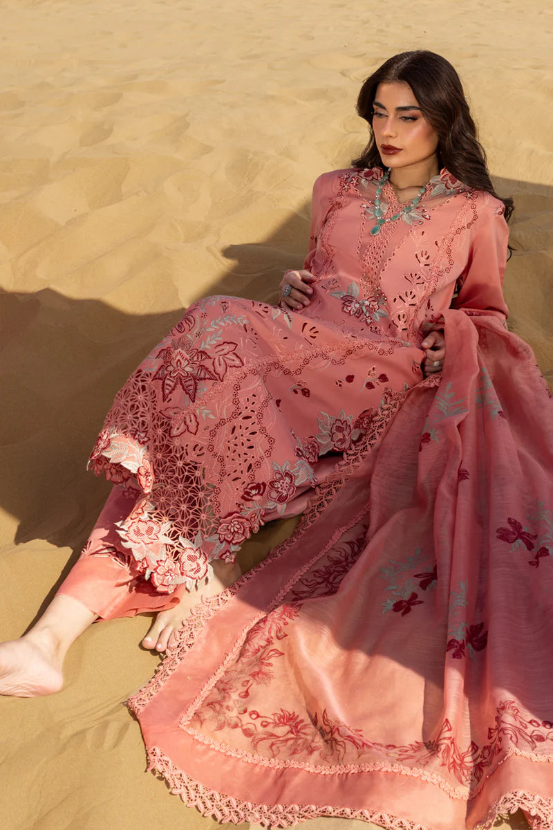 Premium Summer Collection '26 || Amani