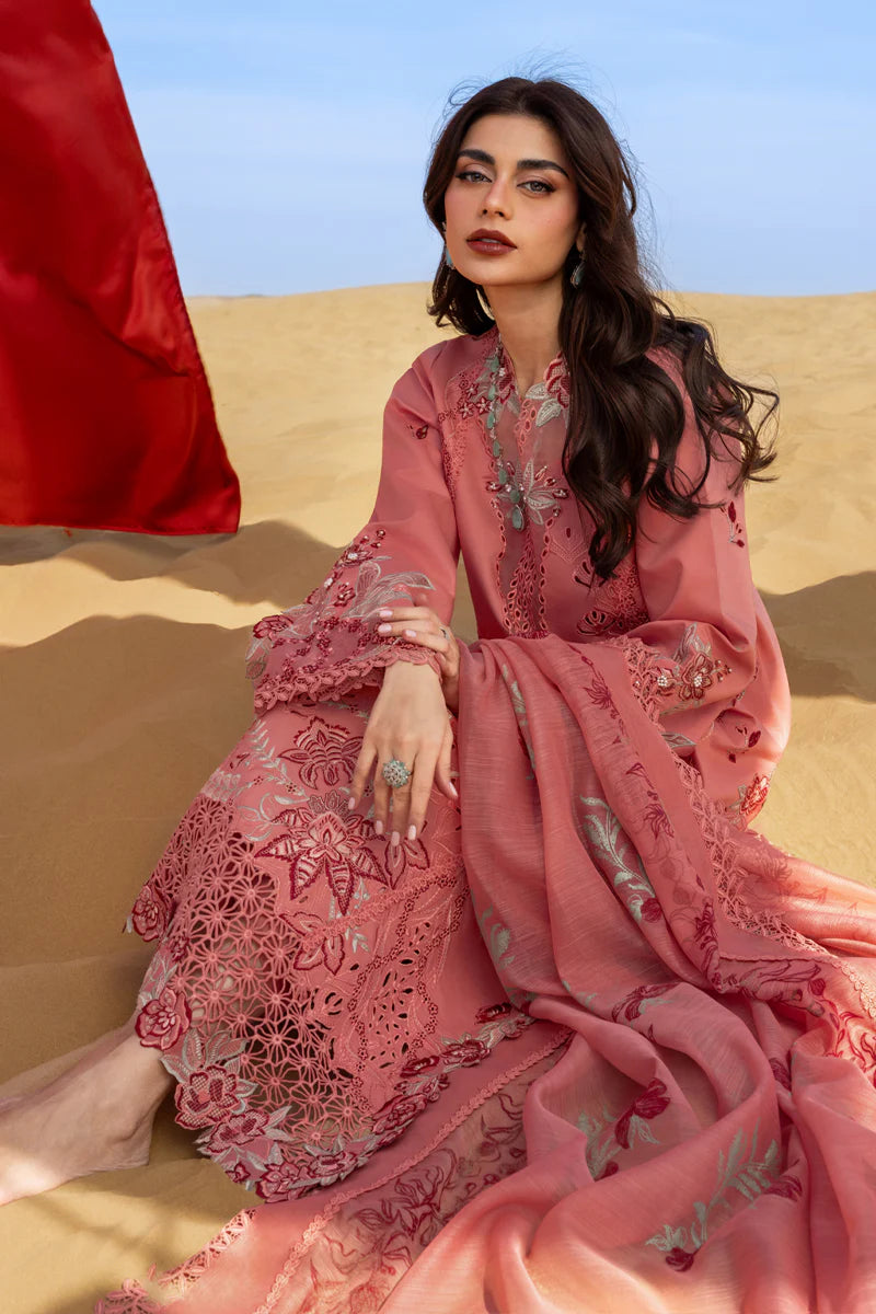 Premium Summer Collection '26 || Amani