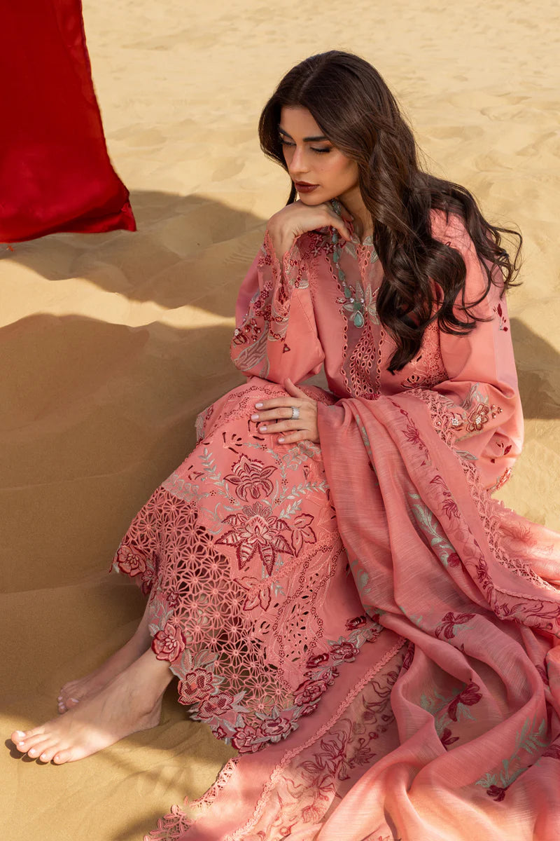 Premium Summer Collection '26 || Amani