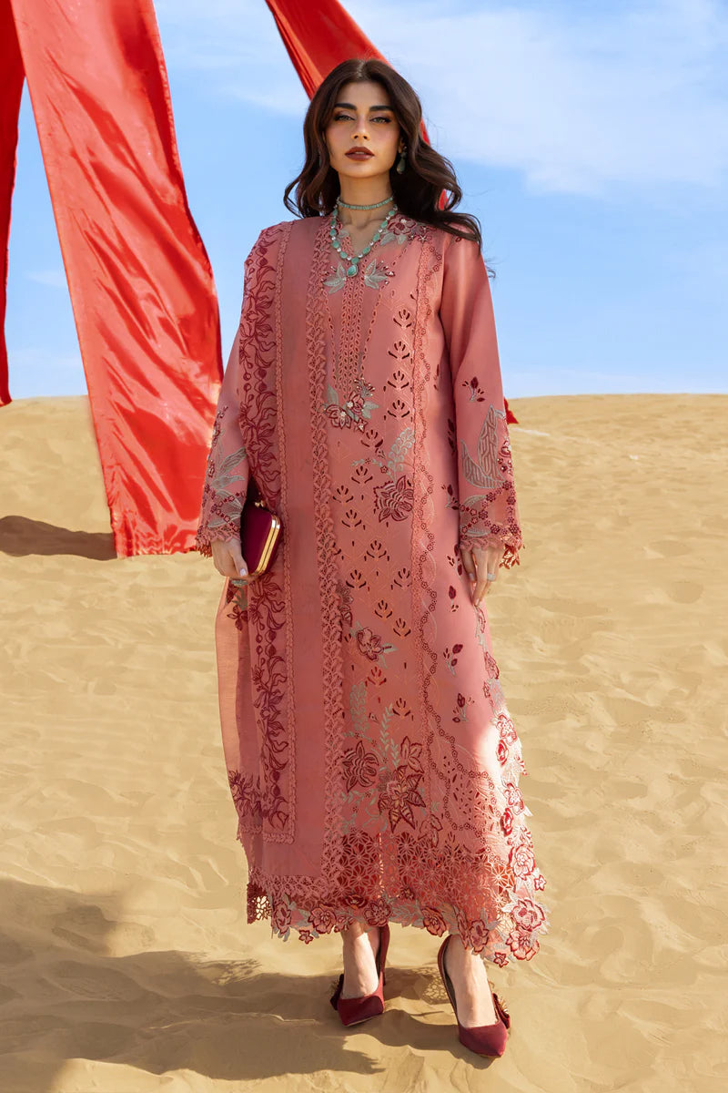 Premium Summer Collection '26 || Amani