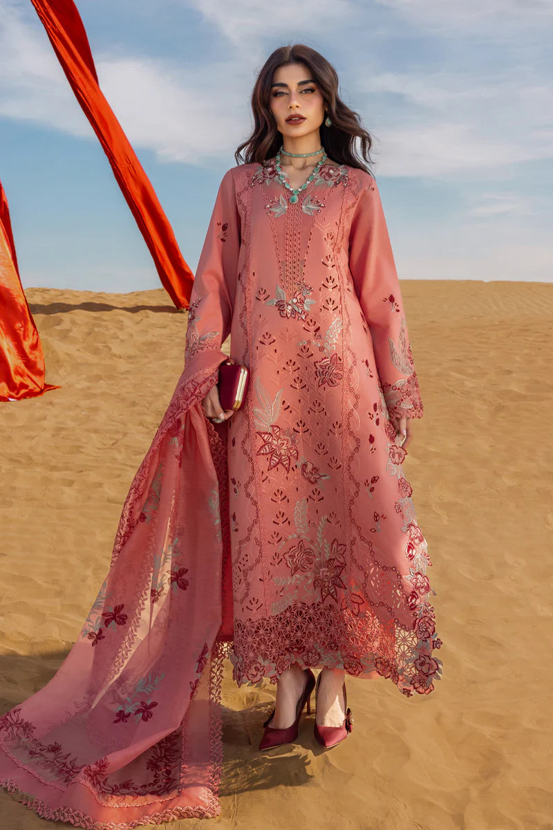 Premium Summer Collection '26 || Amani