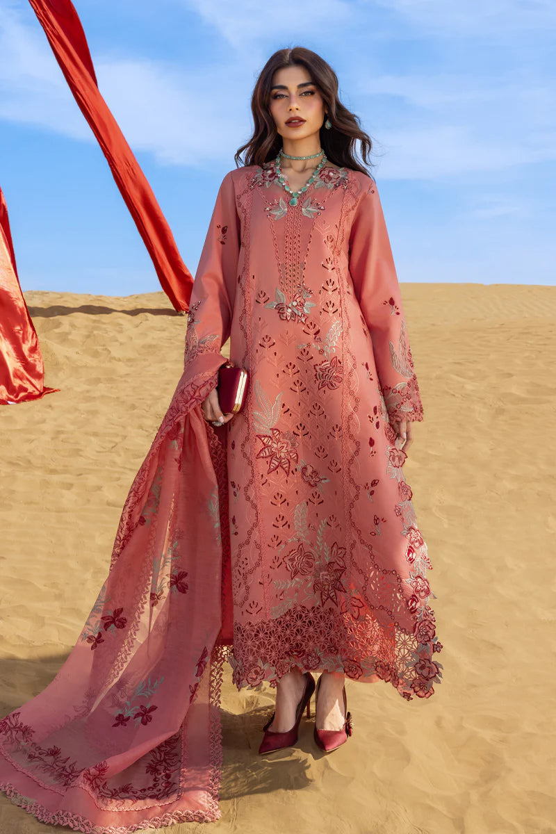 Premium Summer Collection '26 || Amani