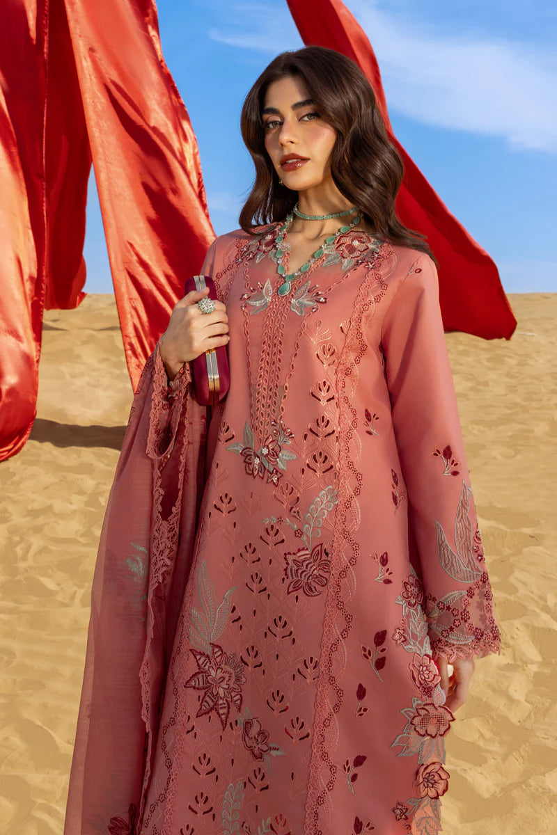Premium Summer Collection '26 || Amani