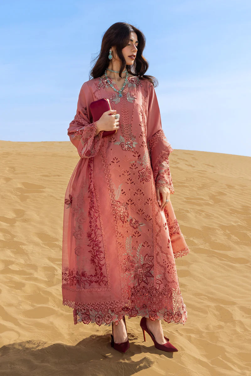 Premium Summer Collection '26 || Amani
