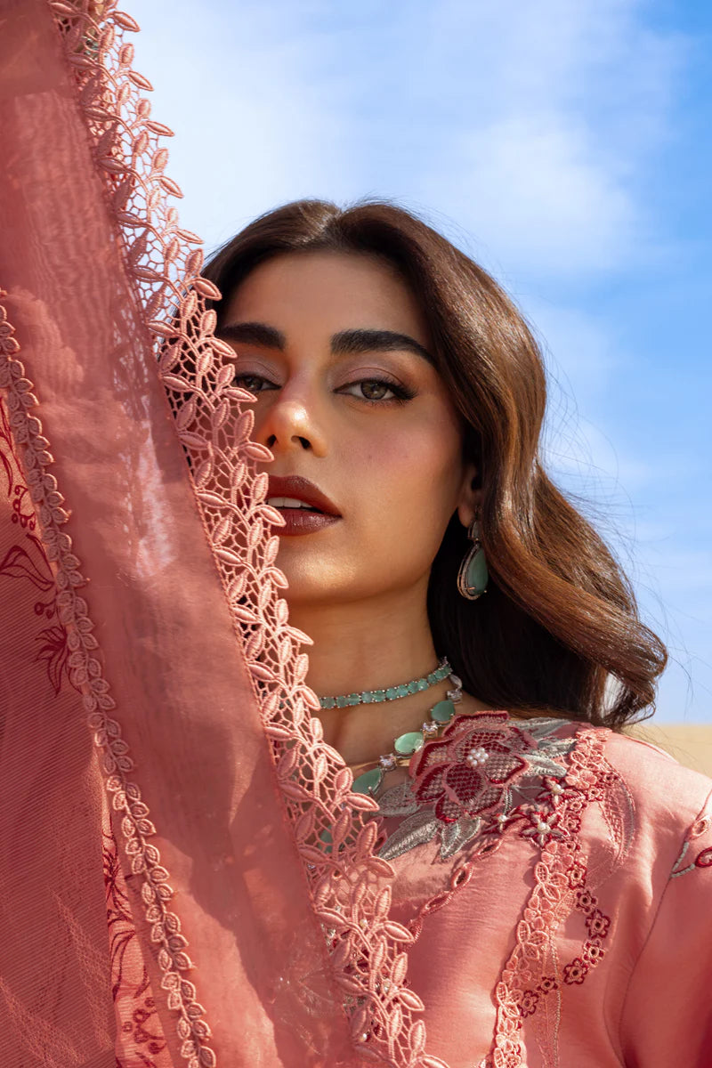 Premium Summer Collection '26 || Amani