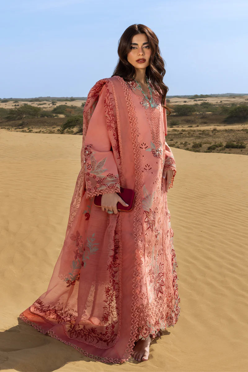 Premium Summer Collection '26 || Amani