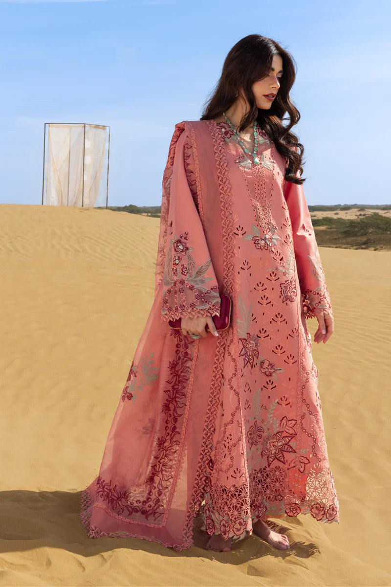 Premium Summer Collection '26 || Amani