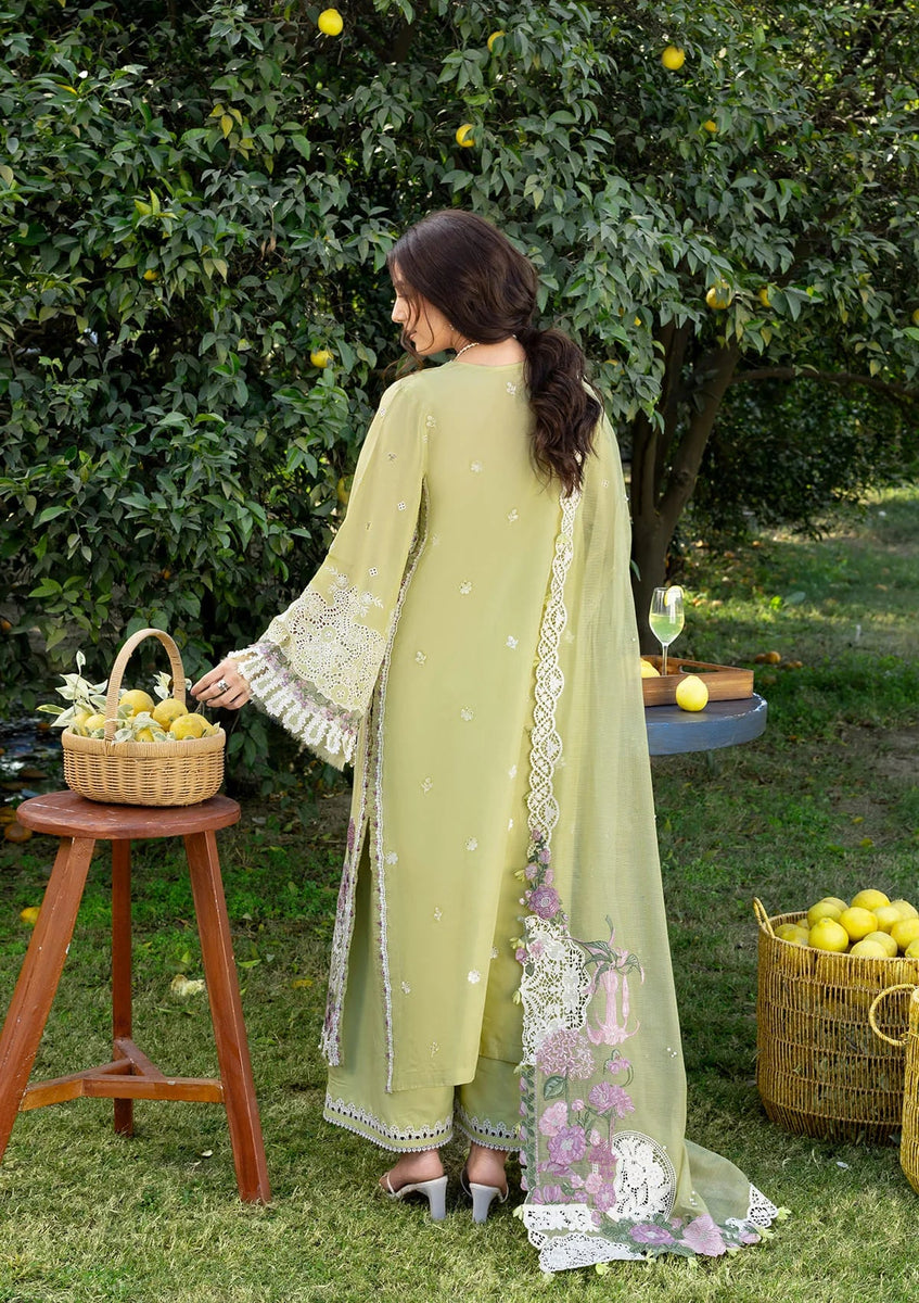 Elaf Luxury Lawn – ELY-08 PISTACHIA