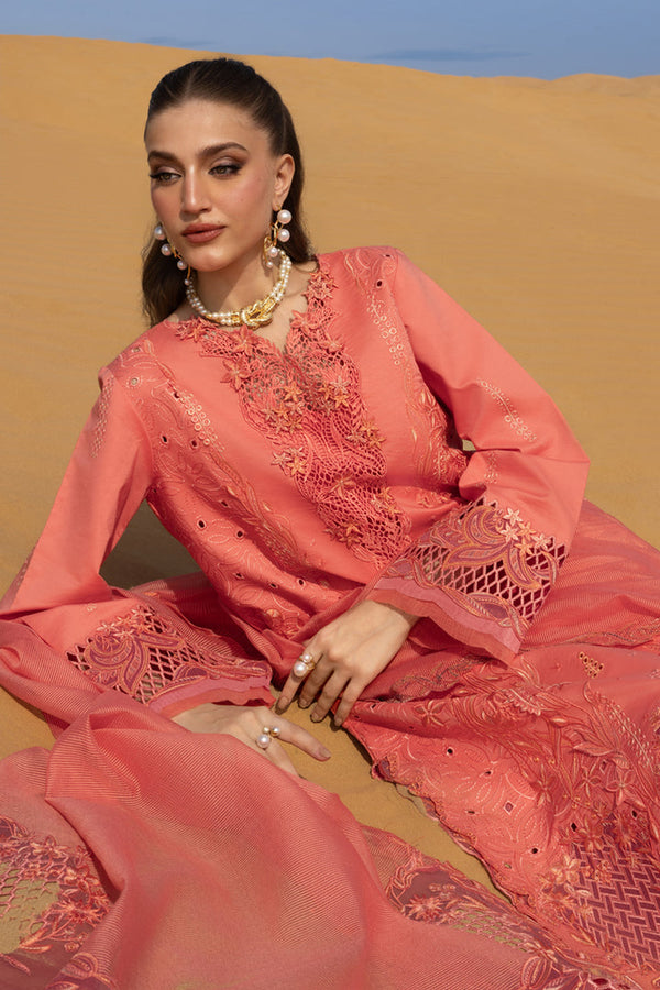 Premium Summer Collection '26 || Elnaz