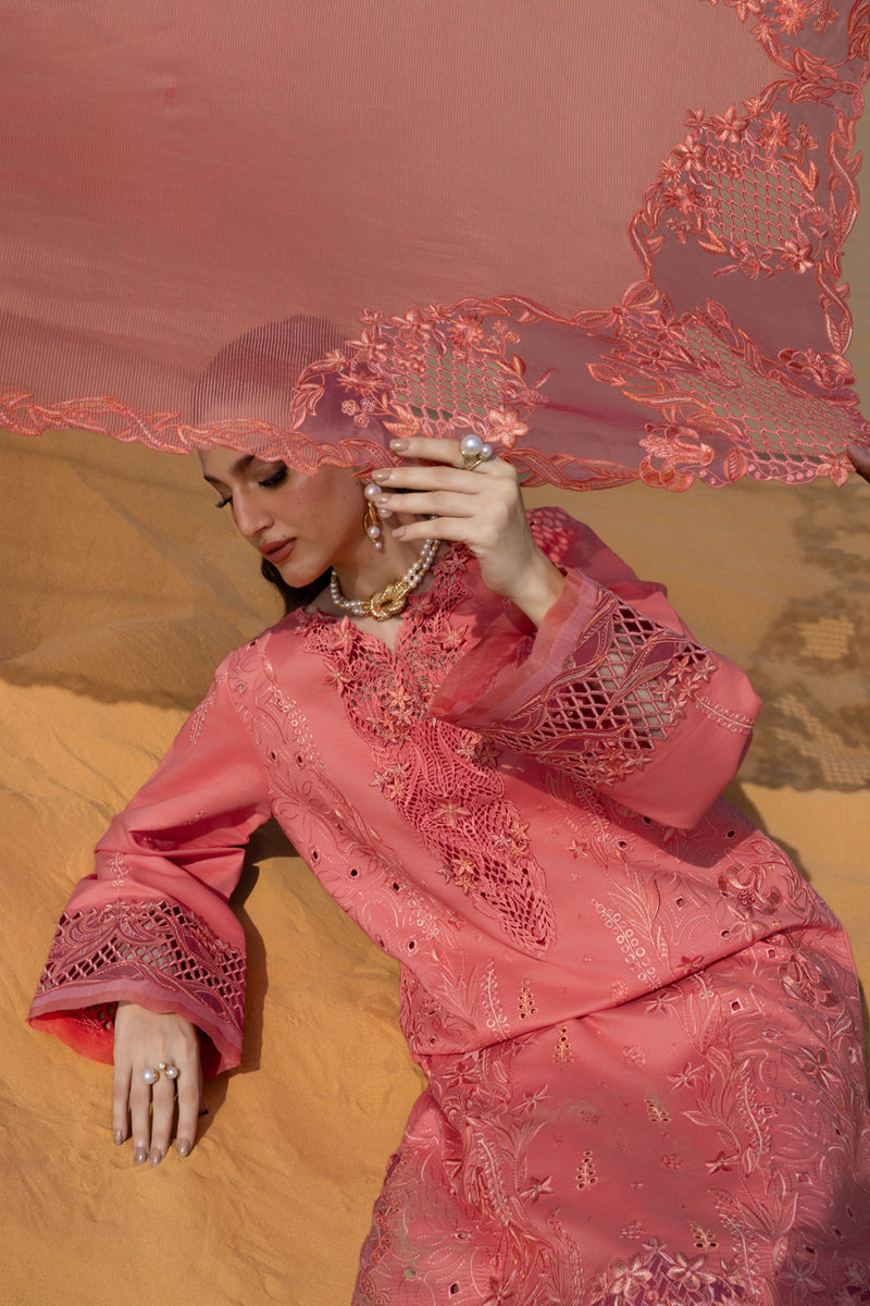 Premium Summer Collection '26 || Elnaz