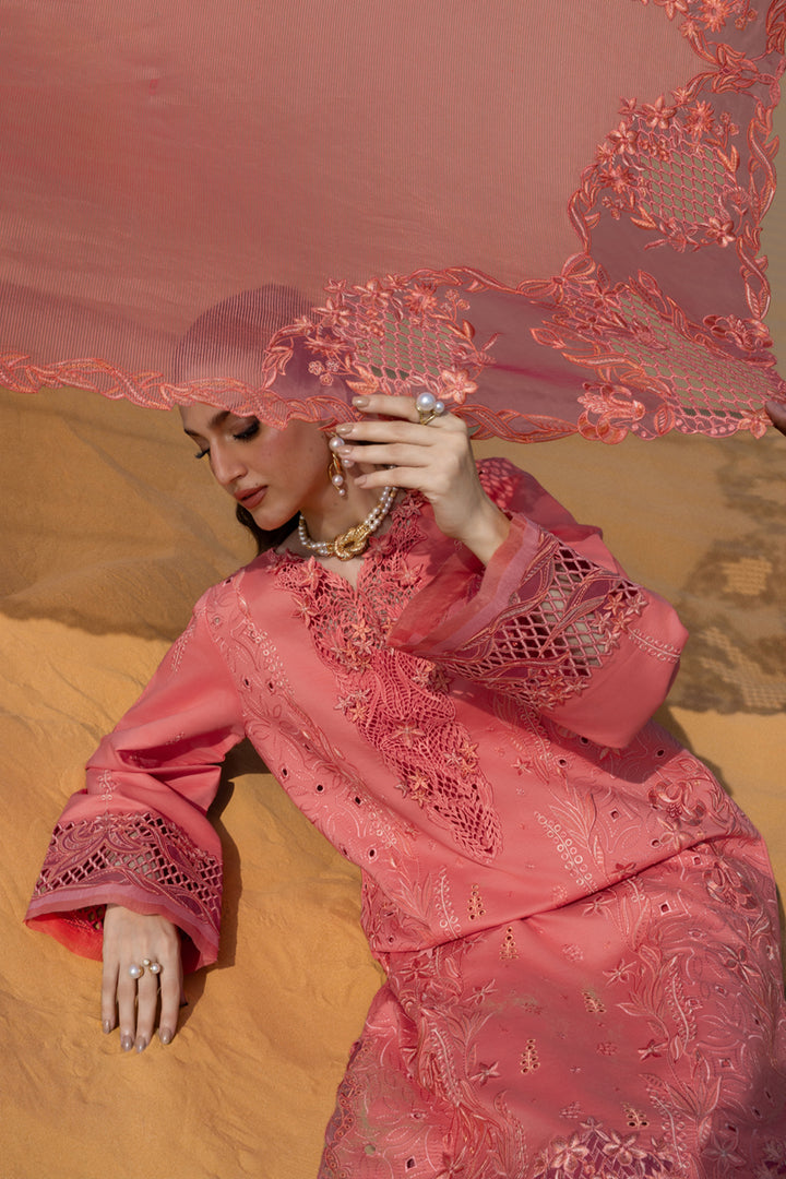 Premium Summer Collection '26 || Elnaz