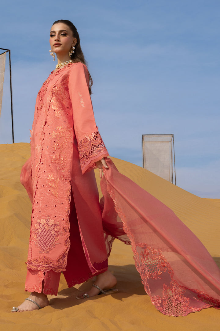 Premium Summer Collection '26 || Elnaz