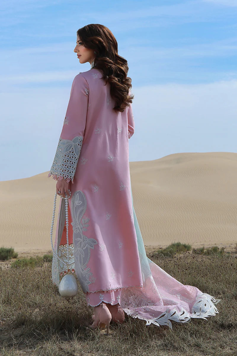 Premium Summer Collection '26 || Mahsa