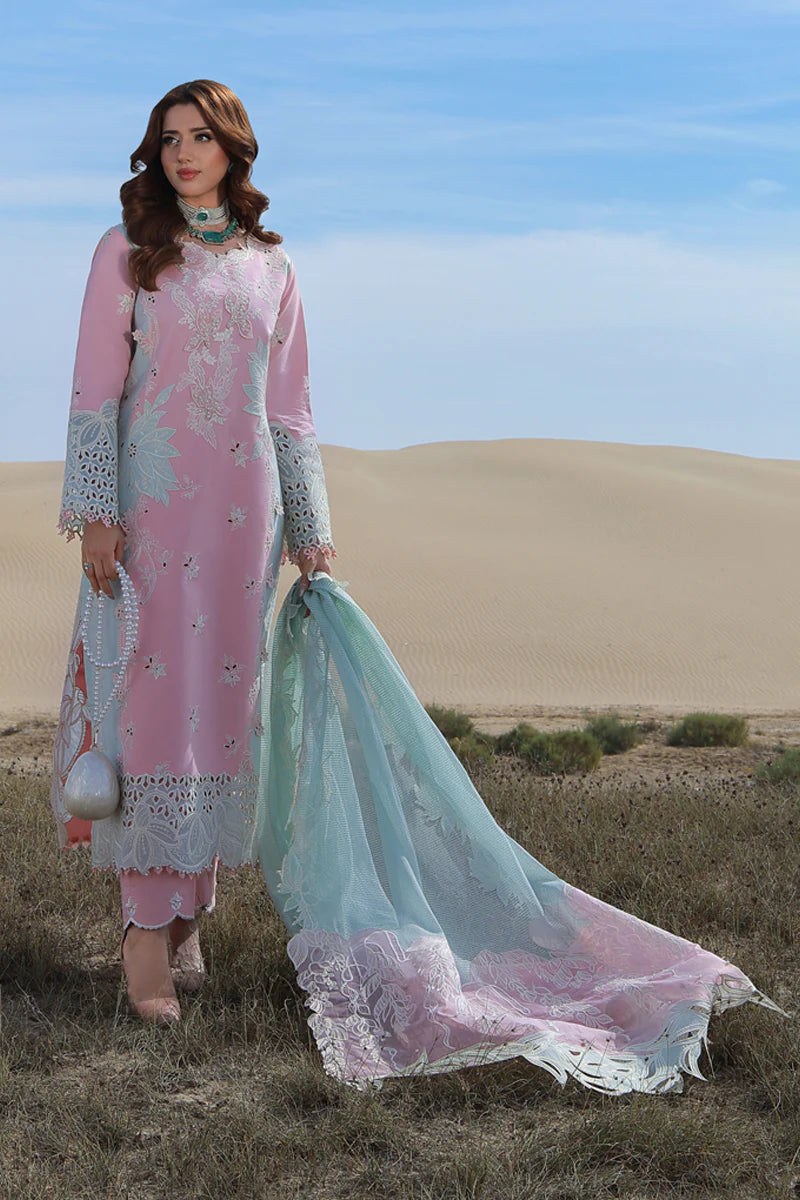 Premium Summer Collection '26 || Mahsa