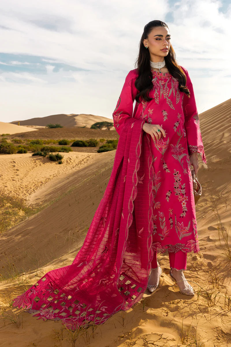 Premium Summer Collection '26 || Safa