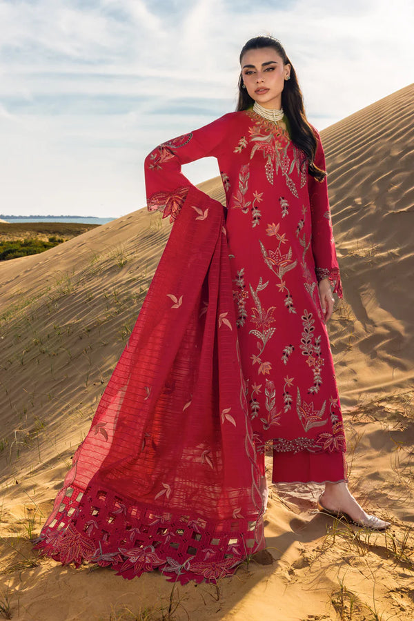 Premium Summer Collection '26 || Safa