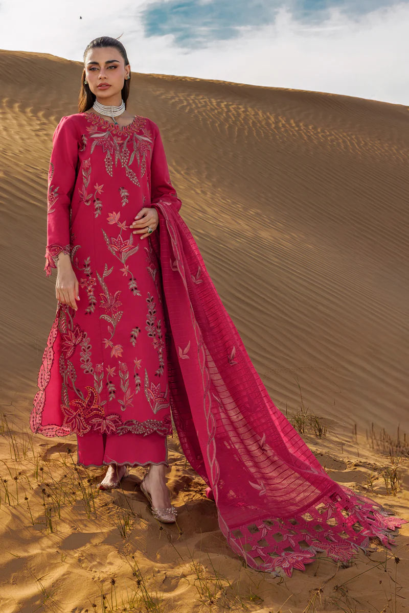 Premium Summer Collection '26 || Safa