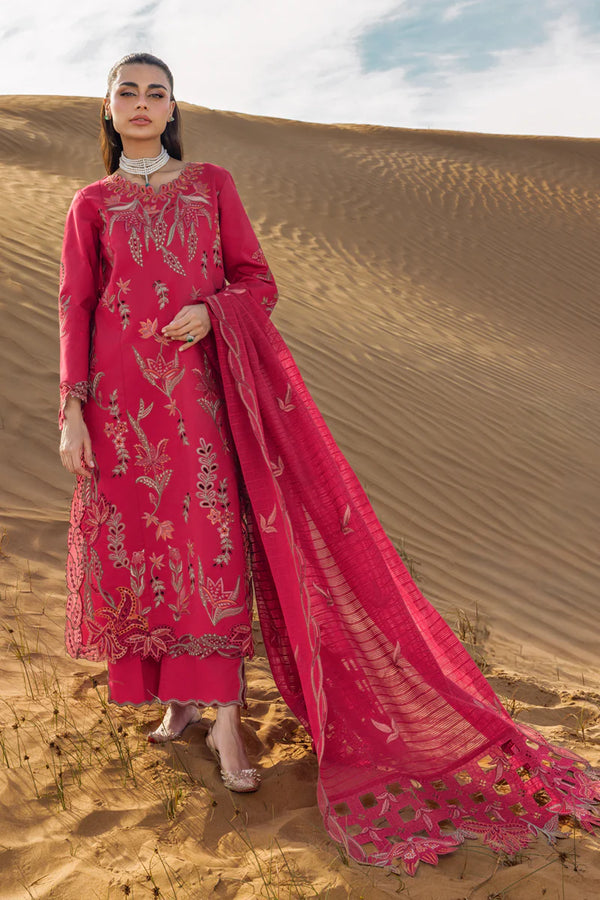Premium Summer Collection '26 || Safa
