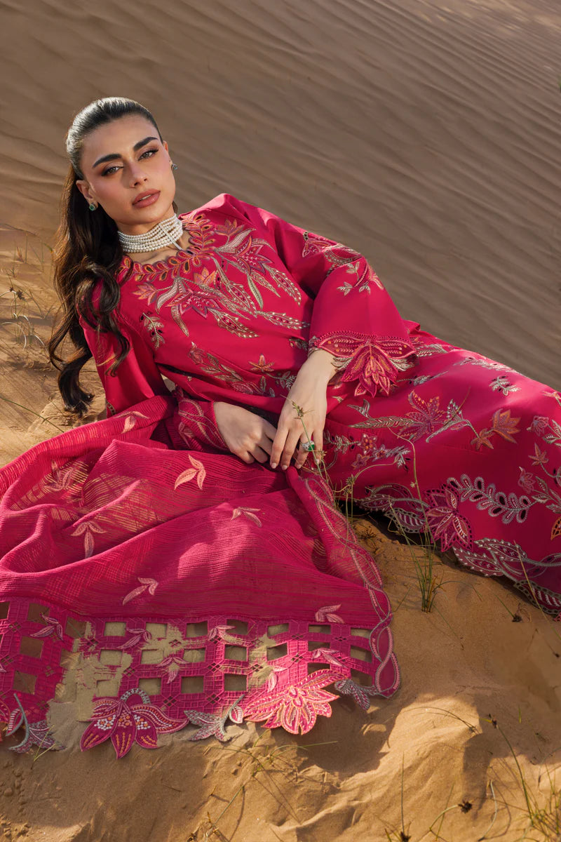 Premium Summer Collection '26 || Safa