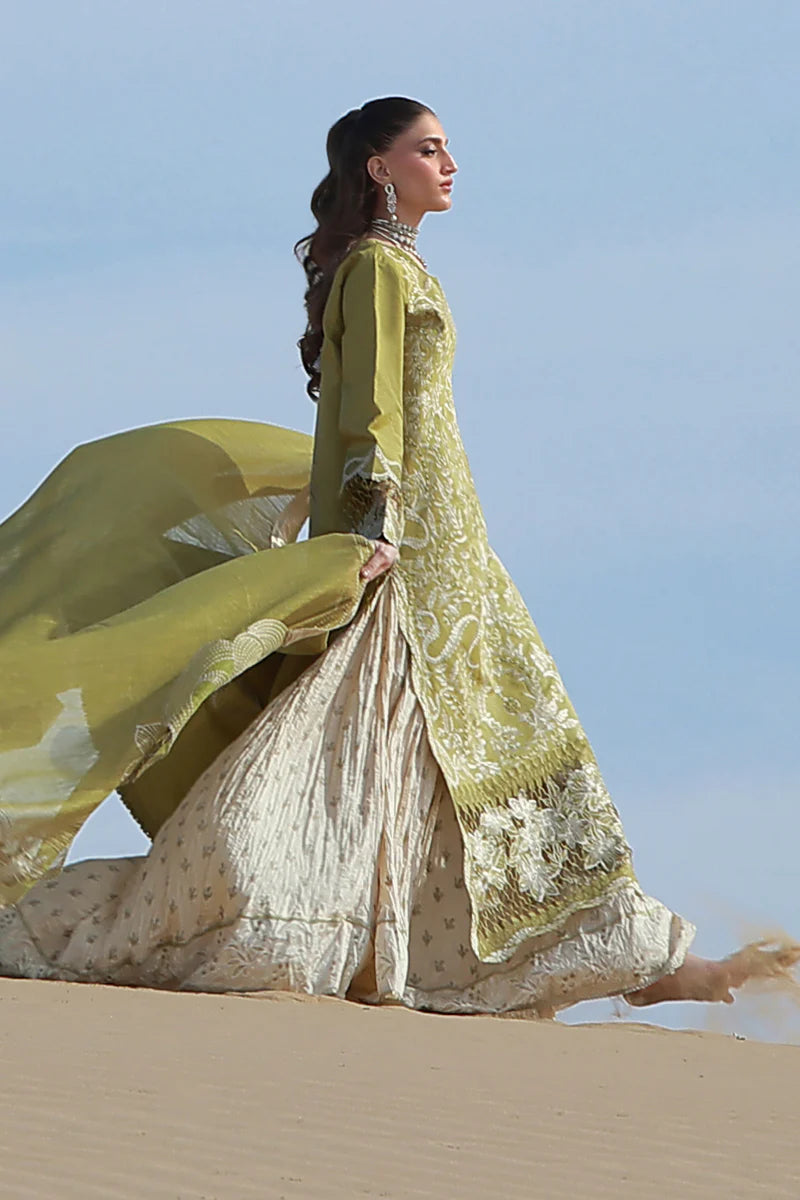 Premium Summer Collection '26 || Zariah