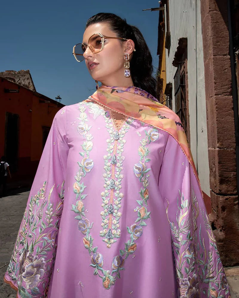 Mushq Hemline Odyssey 26/Alba