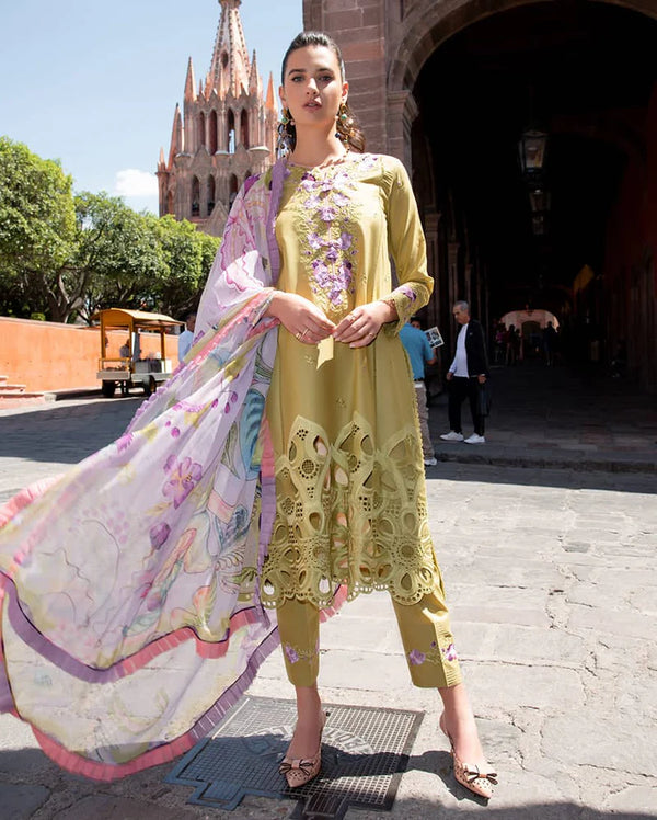 Mushq Hemline Odyssey 26/Aranza