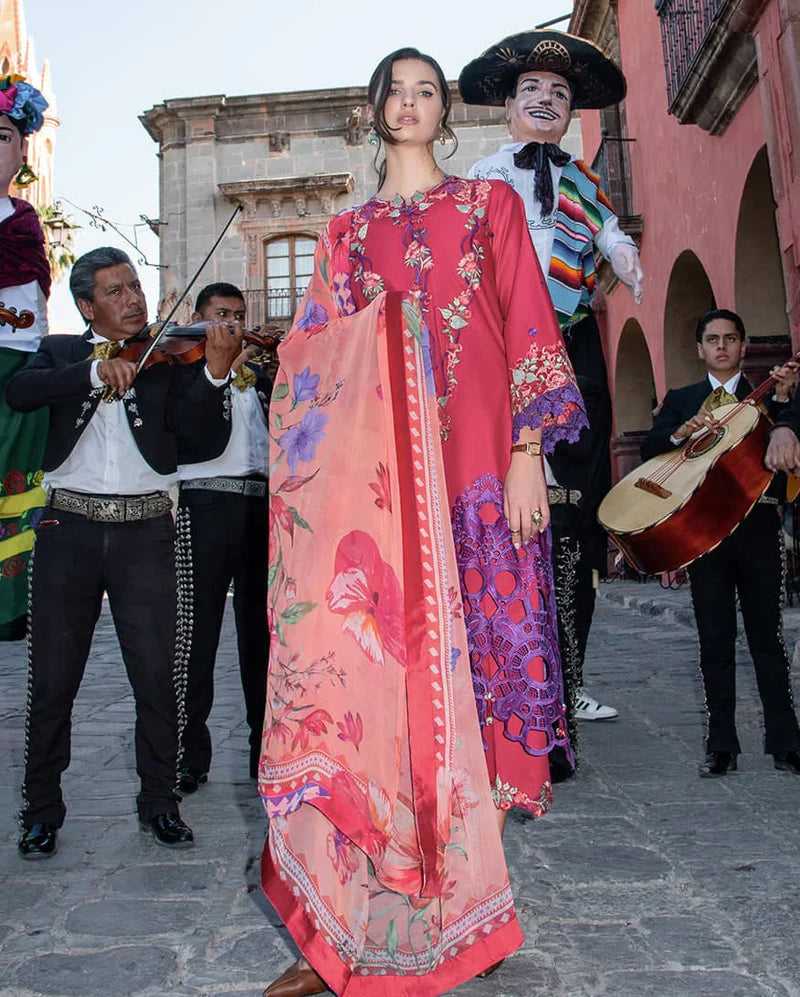 Mushq Hemline Odyssey 26/Nicolas