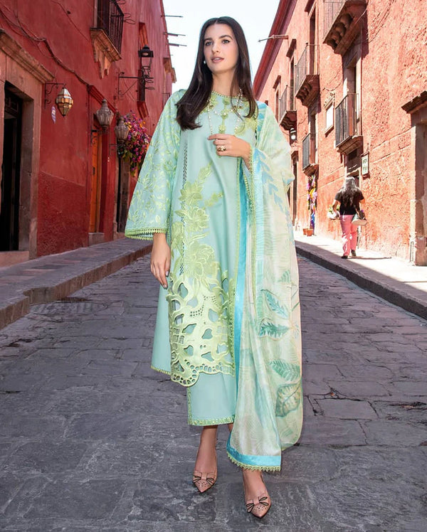 Mushq Hemline Odyssey 26/Paloma